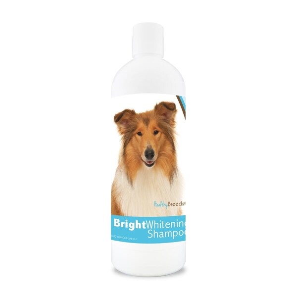 Healthy Breeds 12 oz Collie Bright Whitening Shampoo 840235105008 - main